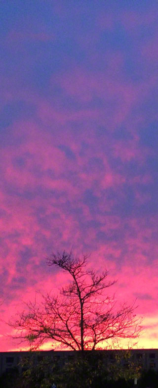 crelish sunset over Costco